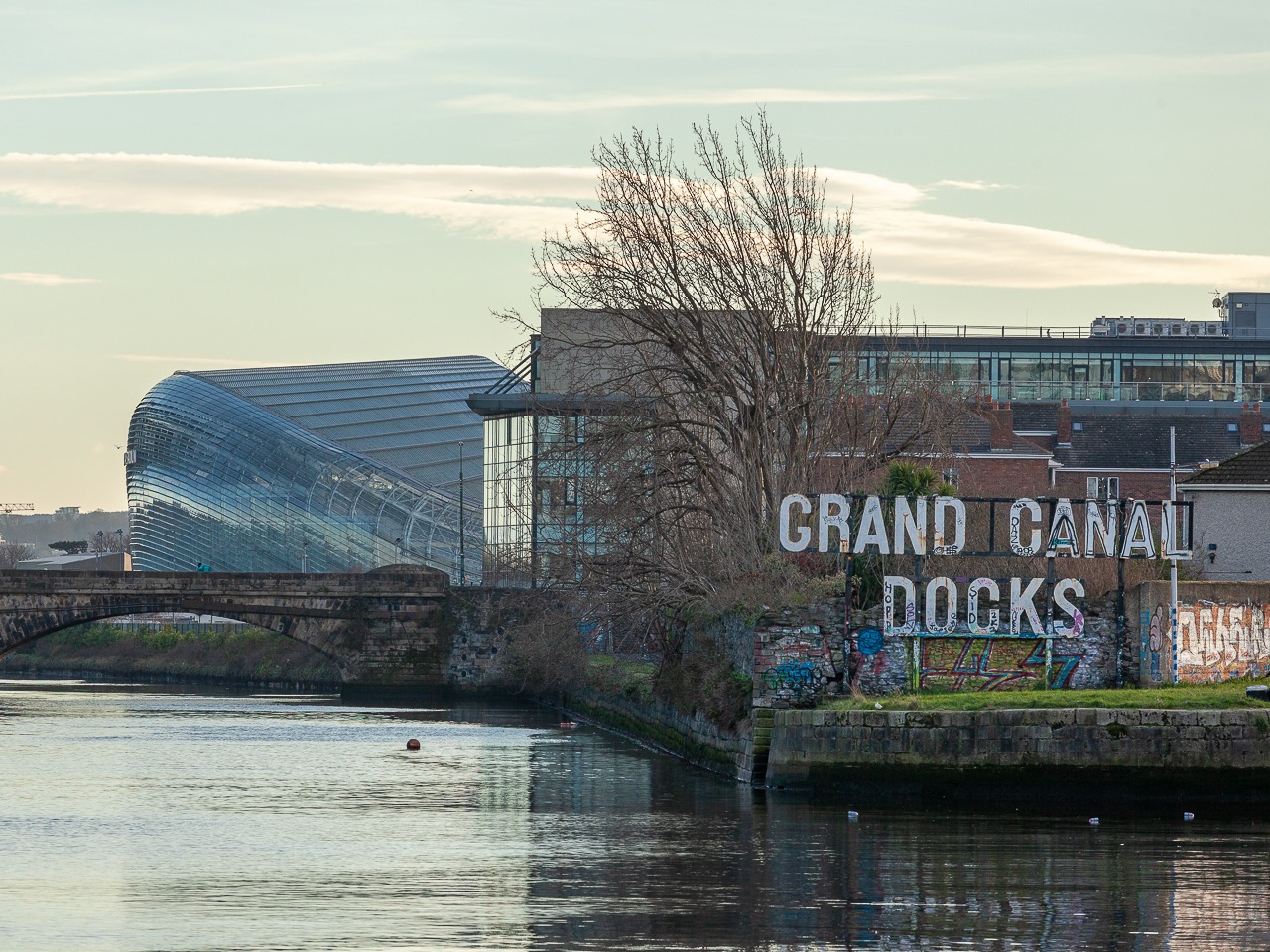 John Collins: Who in their right mind would join an Irish start-up? 