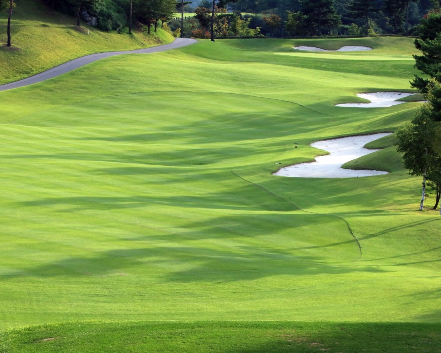 Origin Enterprises is looking like an increasingly attractive acquisition target