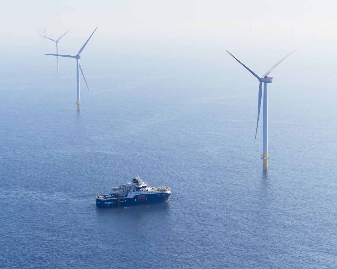 Dark horses win “hugely competitive” offshore wind round with market-beating bid