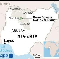 Pastor, bride among 26 kidnapped as Nigeria reels from raids | National