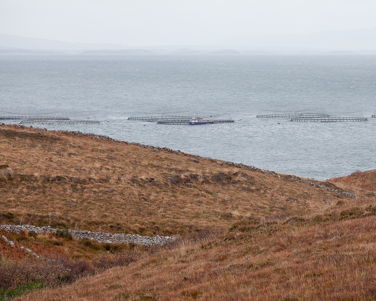 <br />
<b>Warning</b>:  Undefined variable $myimgalt in <b>/www/wwwroot/imfastcenter.com/wp-content/themes/ennews001/single.php</b> on line <b>213</b><br />
